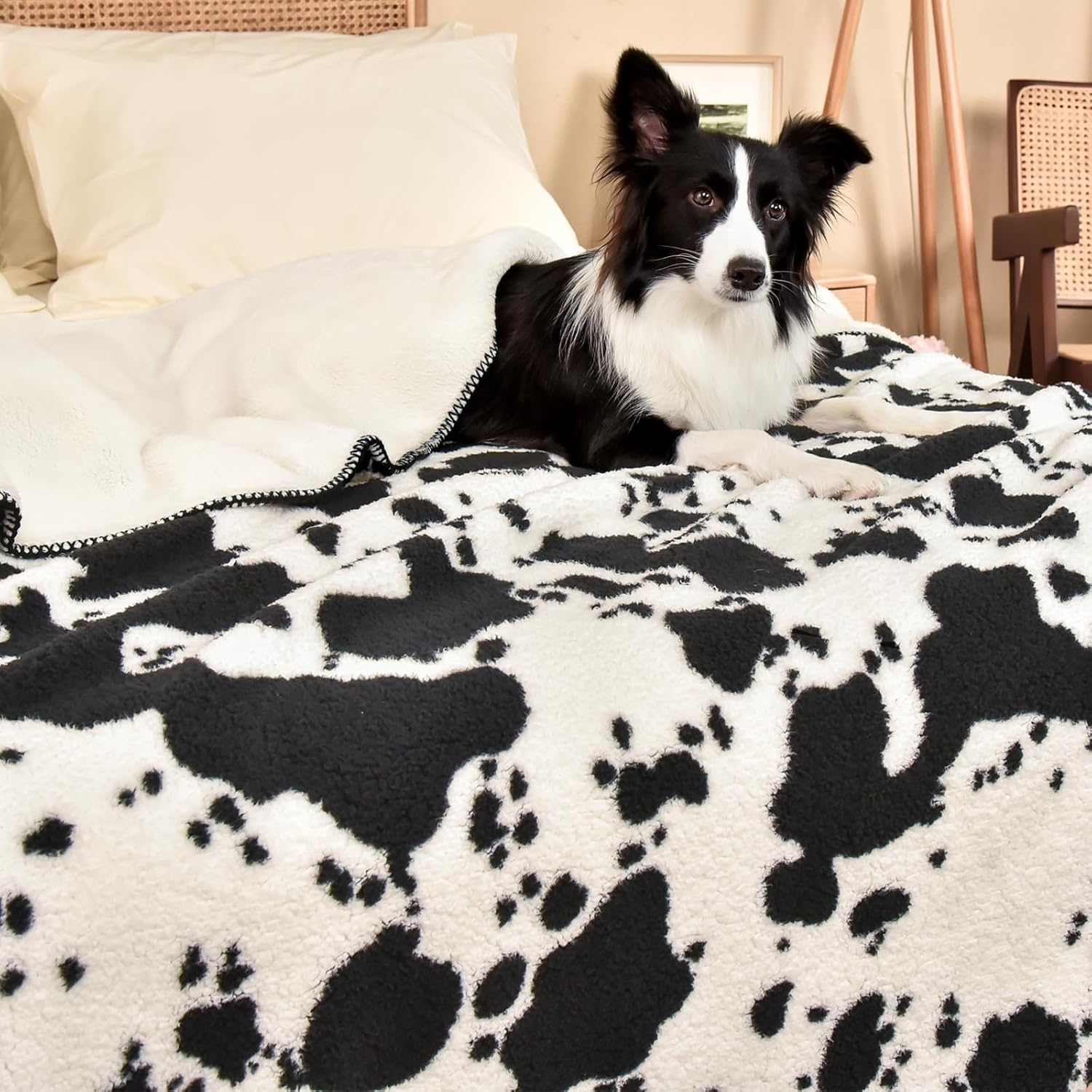 PHF Cute Cow Print Sherpa Throw Blanket for Girls Boys Teens Kids, Reversible Thick and Warm Blanket for Winter, Ultra Soft Fuzzy Animal Pattern Bedding for Bed Sofa Couch, 50x60, Black - Image 2