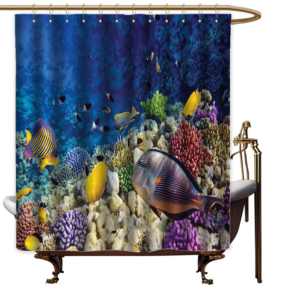 Buy Qenuanmpo Shower Curtain Hooks Ocean,Untouched Wild Aquatic World
