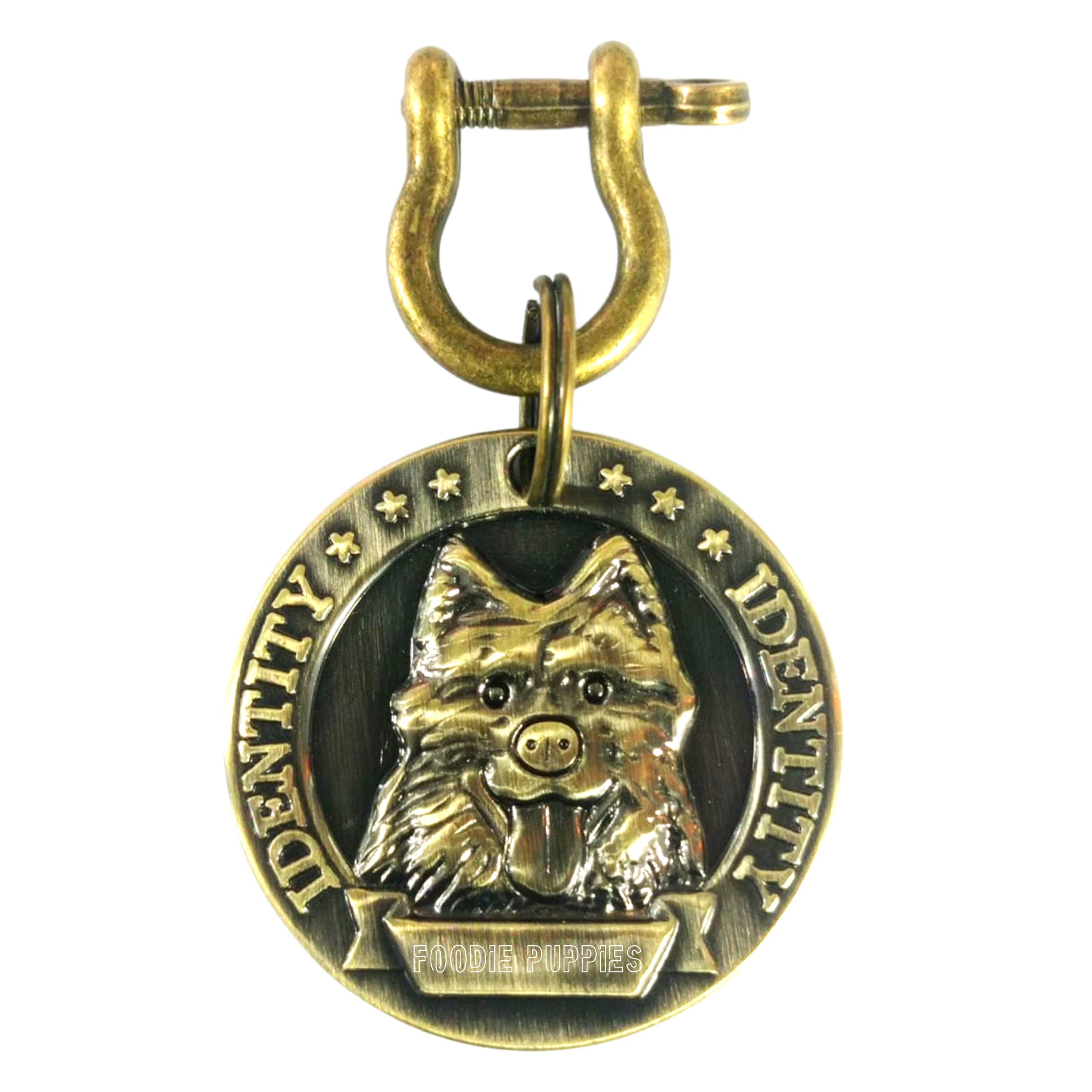 Foodie Puppies Antique Shape Round Metal Collar Identity Tag, Memorial Personalized Dog, Pendant Cum Tag Bronze for Dogs (Pack of 1) (B09S3537FB) Amazon Price History, Amazon Price Tracker