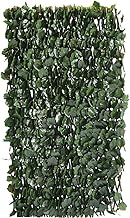 Clôture en treillis de saule "Fragon" - 200 x 100 cm - Vert