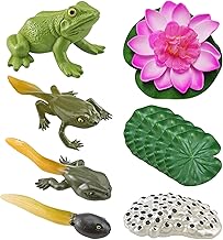 5 Pieces Frog Life Cycle Model with 1 Lotus Leaf Model and 1 Lotus Flower Model, Frog Growth Cycle Toy, Simulation Animal Model, Educational Material