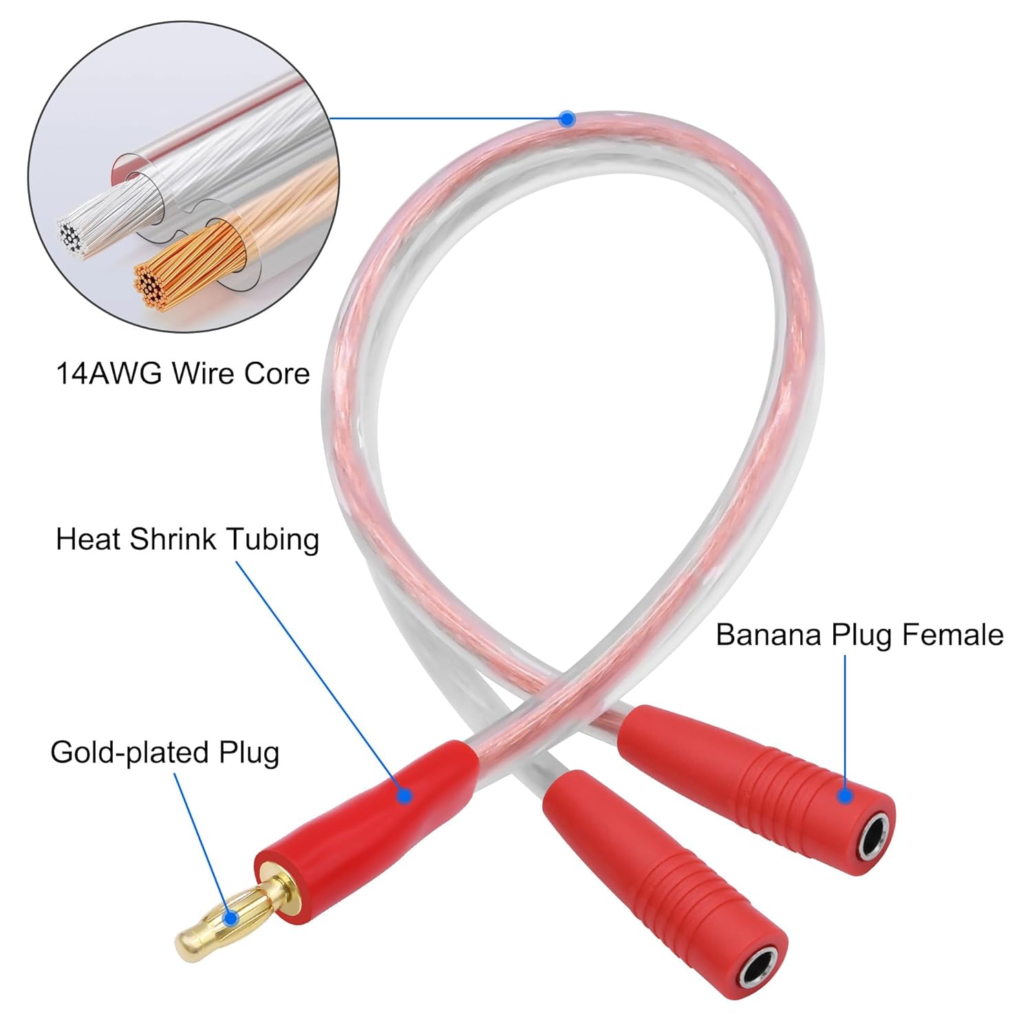 XMSJSIY 4mm Banana Plug Male to Dual Female Splitter 1 to 2 Audio Extension Cable 14AWG HIFI Speaker Cable with 4mm Banana Plugs Gold-Plated Connector Speaker Wire for Stage & Studio Recording - 1Pair - Image 3