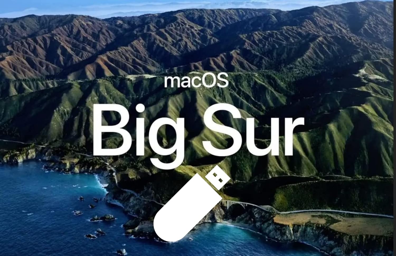 Amazon.com: Bootable USB Stick for macOS X Big Sur 11 - Full OS Install ...