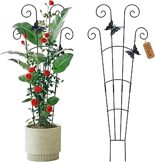 Plant Trellis for Climbing Plants (Expandable)