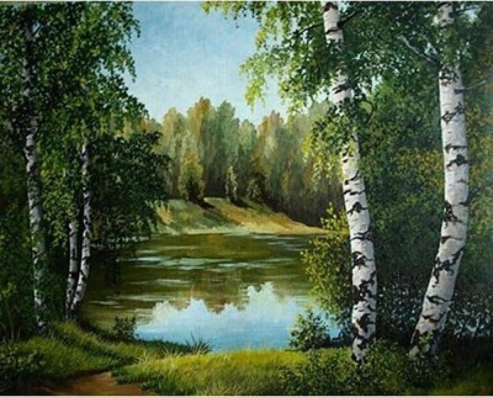 Peinture diamant 5D anti-stress kit complet paysage pour débutant et expert