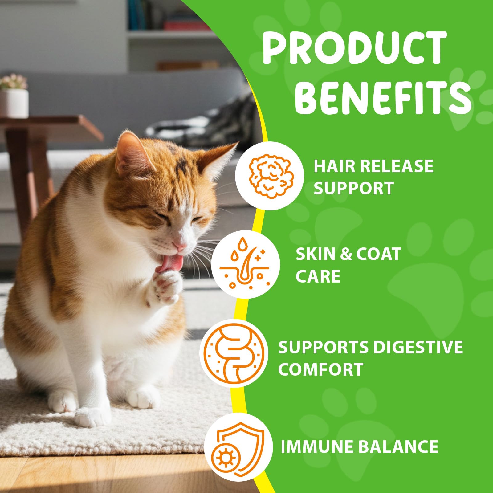 Hairball Trattamento Per Gatti E Gattini, Cat Hairball Remedy, Hairball Support Gocce Sollievo Con Psyllium Husk, Vitamine Per Gatti Lunghi E Brevi Peli, Nutre Capelli E Riduce La Secchezza 60Ml
