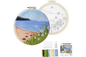 Wonafa DIY Wool Painting Kit for Kids: Craft Your Needle Felt Masterpieces