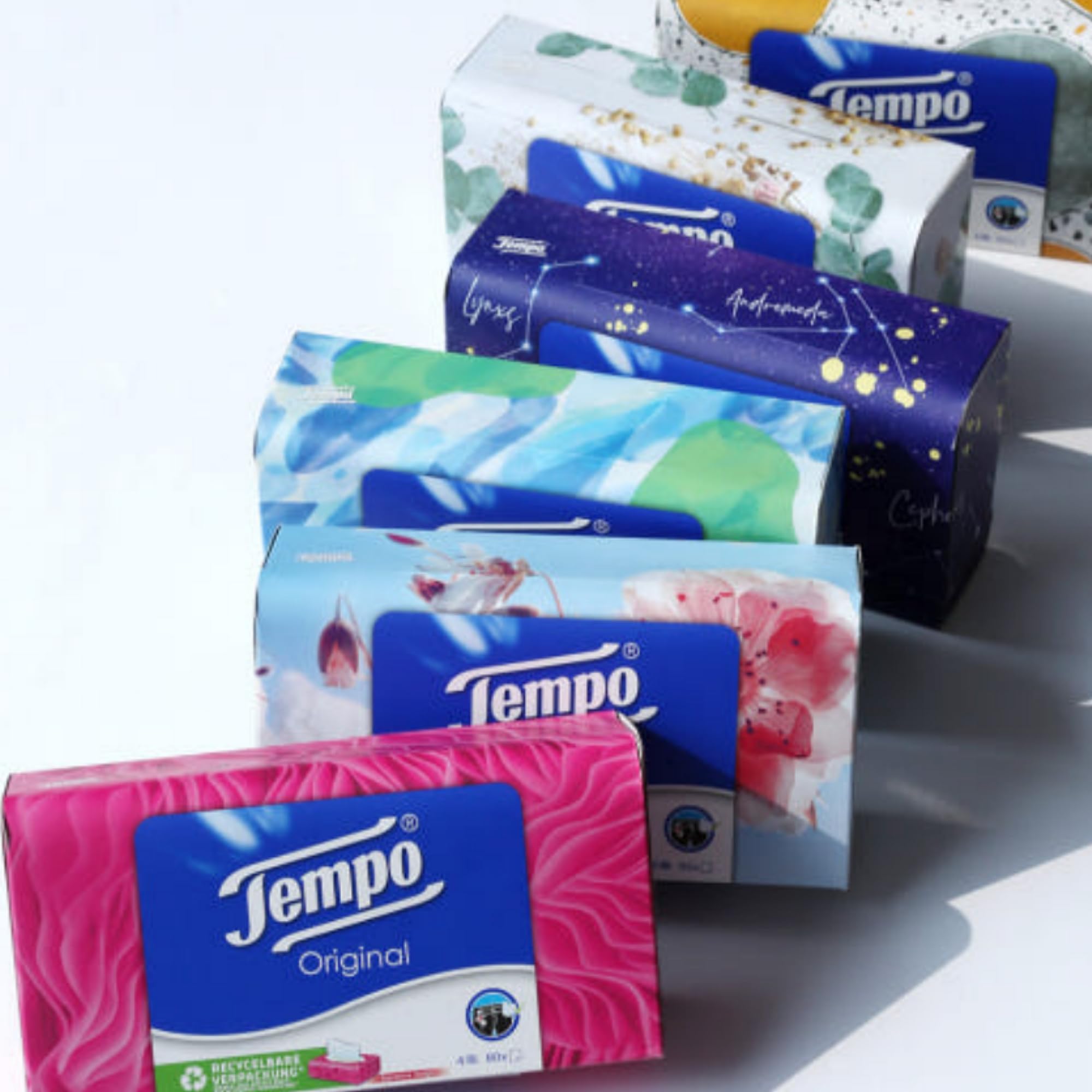 Amazon.co.jp: 【ドイツ製】Tempo（テンポ） ボックスティッシュ