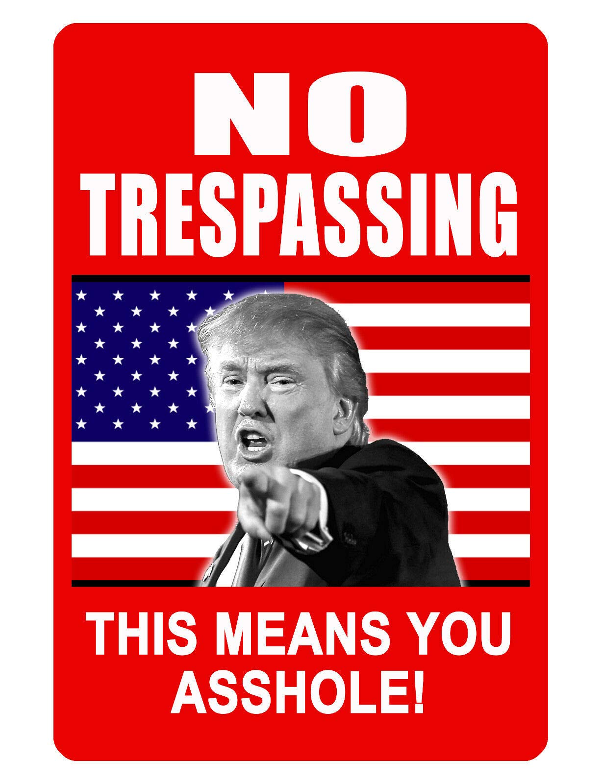 Kueprae A199 No Trespassing Trump Metal Sign Durable Tin No Rust 12"X8"