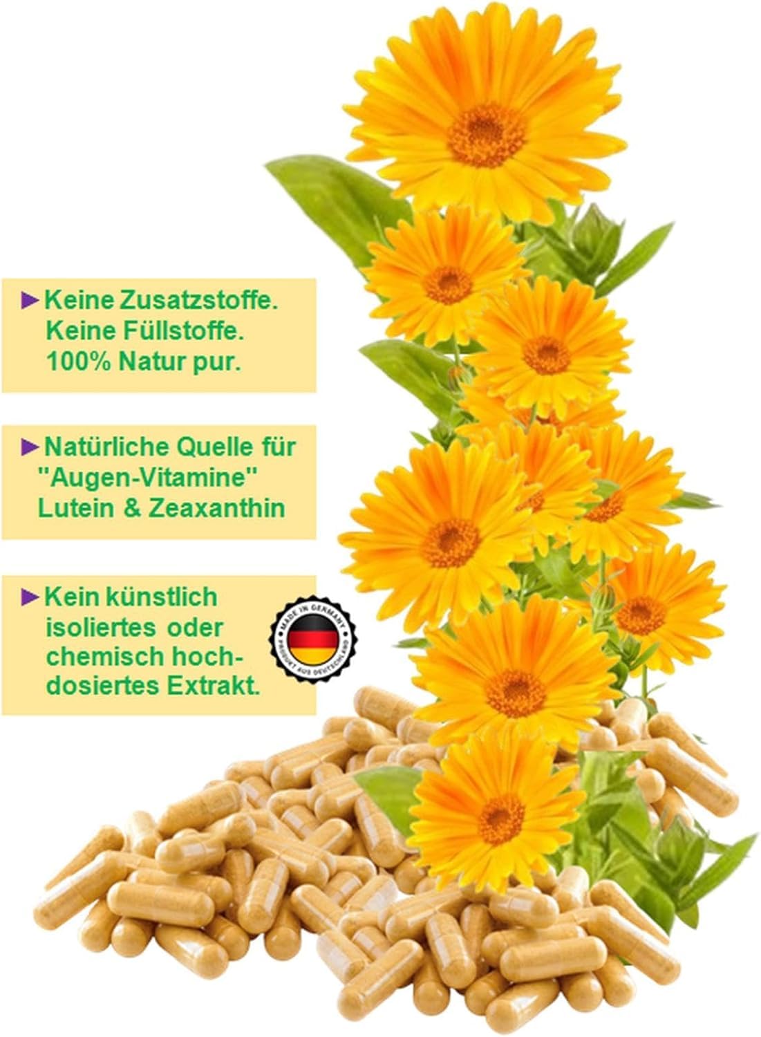 RINGELBLUME AUGEN Vitamine Lutein & Zeaxanthin Sehkraft VITAL COMPLEX + Netzhaut Maculapigmente - 1080 (3x360) Kapseln - Natur pur - OHNE ZUSATZSTOFFE. 26970-7