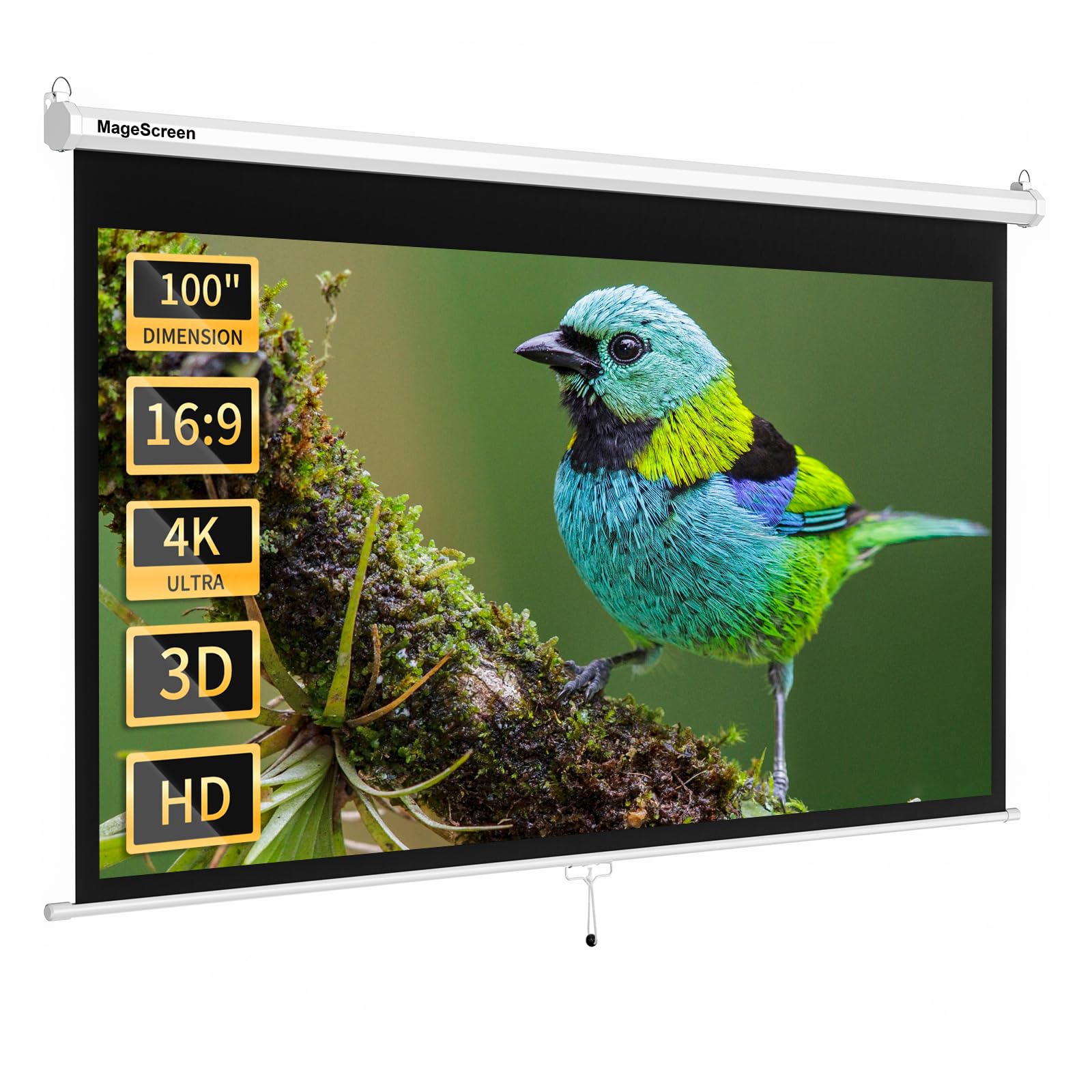 Manueller Beamer Rollo 100 Zoll (229.4 x 164 cm) 16:9 Weiß 4K HD