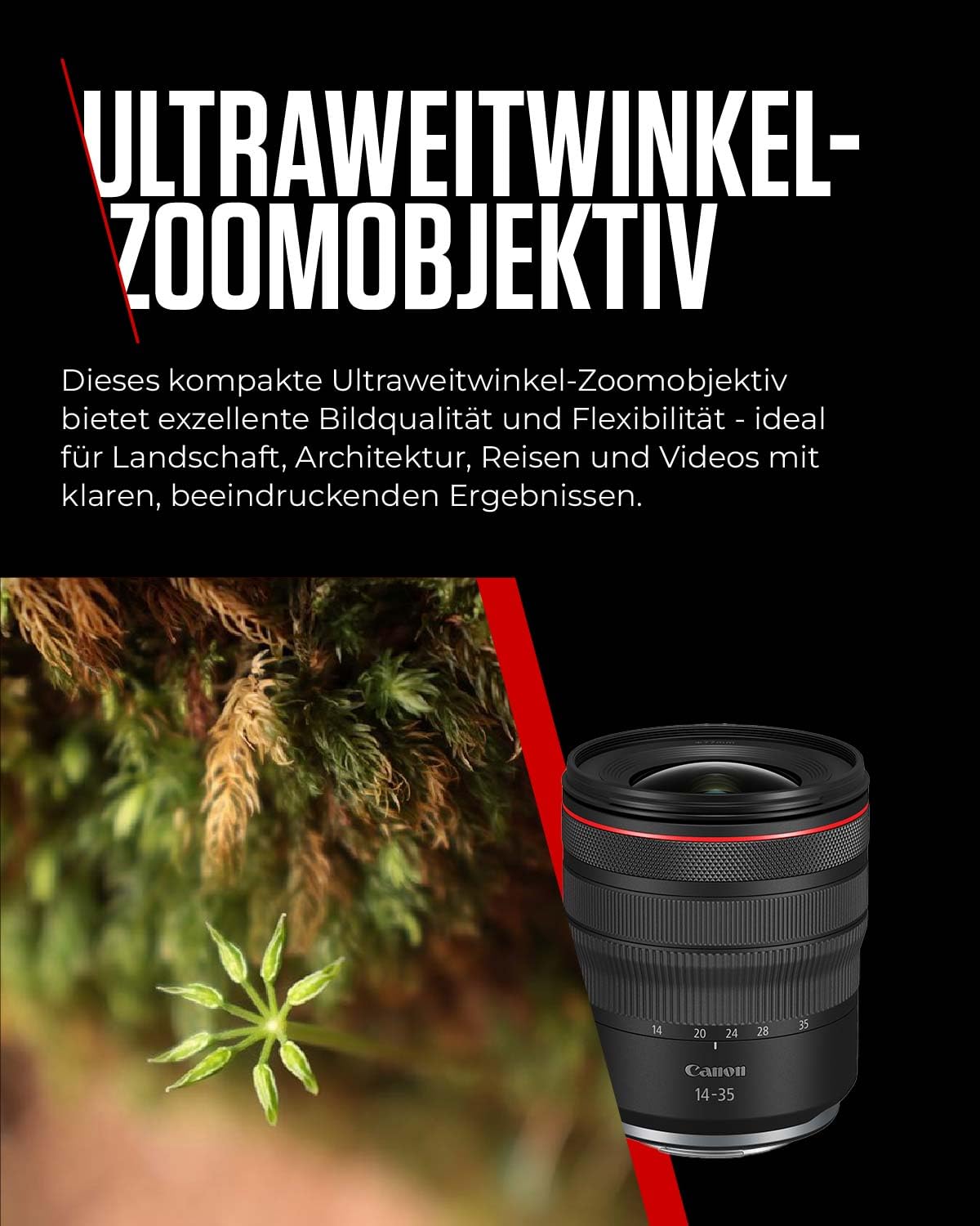 キヤノン RF14-35mm F4 L IS USM 広角ズームレンズ