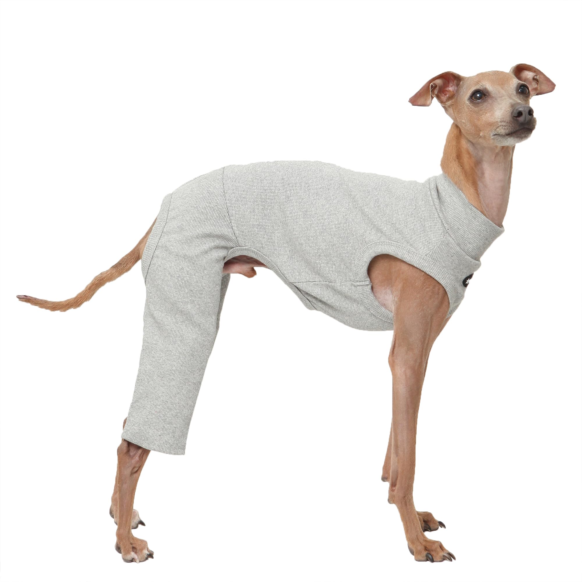 D Doggy Star Italian Greyhound Clothes High-Strech Sleeveless Onesie for Styling (L,Coordi Grey) — image 1