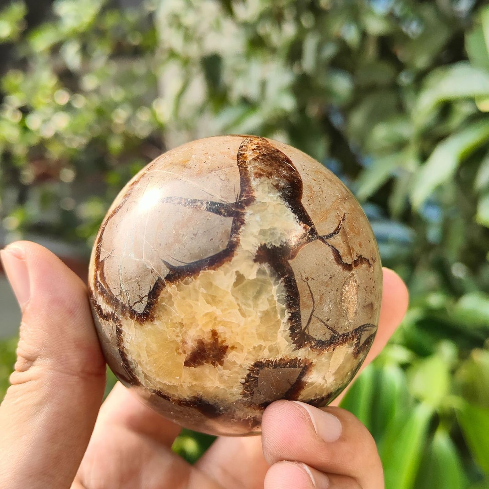 KCDFDVJFBM Home Decor Septarian Dragon Crystal Ball Polished Stone Sphere Ornament Collection and Decorative Balls 1pcs,5cm/2in