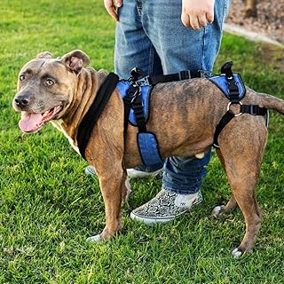 Pro Full-Body Dog Lifting Harness – Supportive Dog No-Pull Harness for Large Dogs for Rehabilitation, Arthritis, and Paralysis (Large)