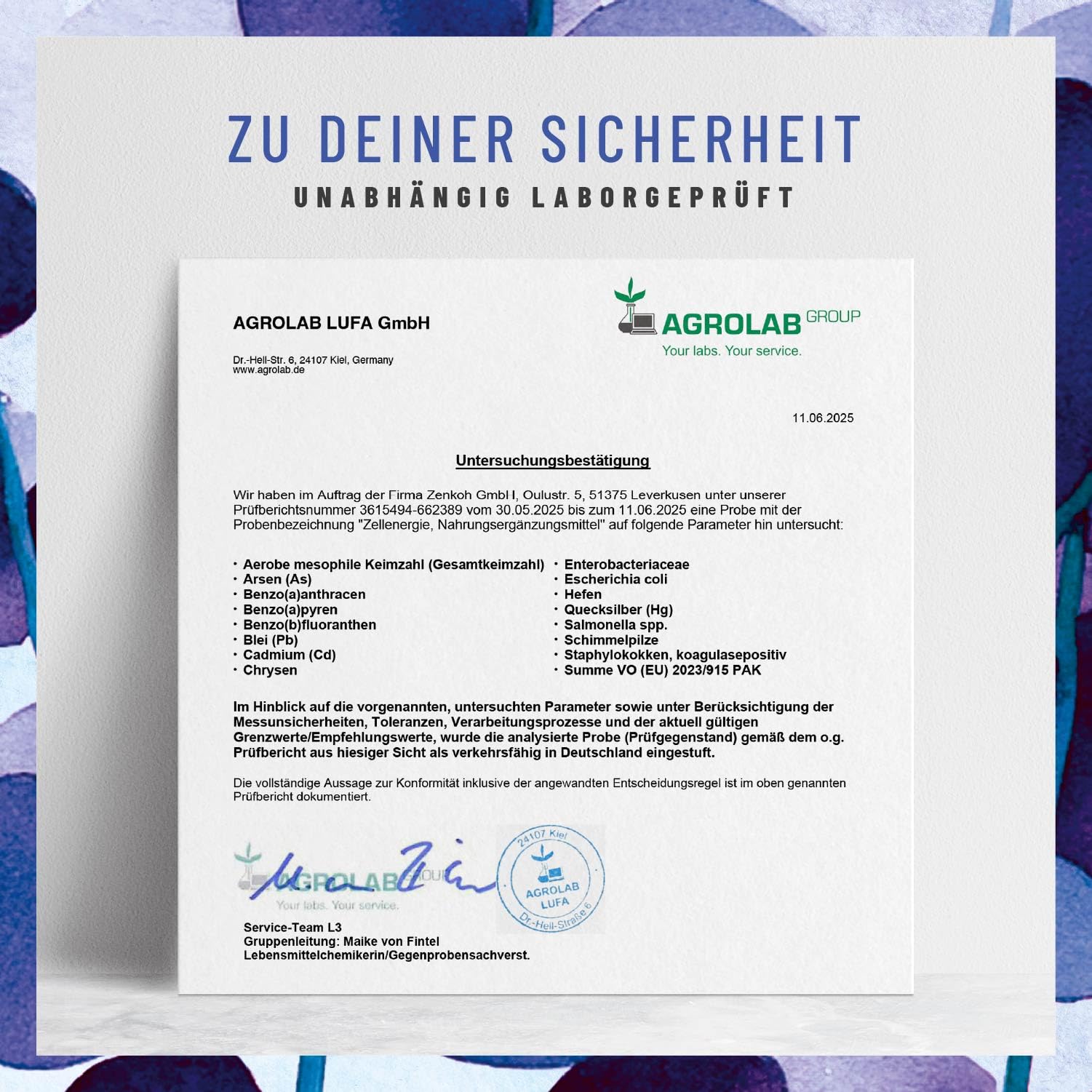 Zellenergie - NAD+ Faktor - mit Nicotinamide-Riboside 300mg (NR) - NAD Komplex - Betain, Resveratrol, Coenzym Q10, Taurin & Vitamin B3 - laborgeprüft in Deutschland – 90 vegane Kapseln von NATURTREU