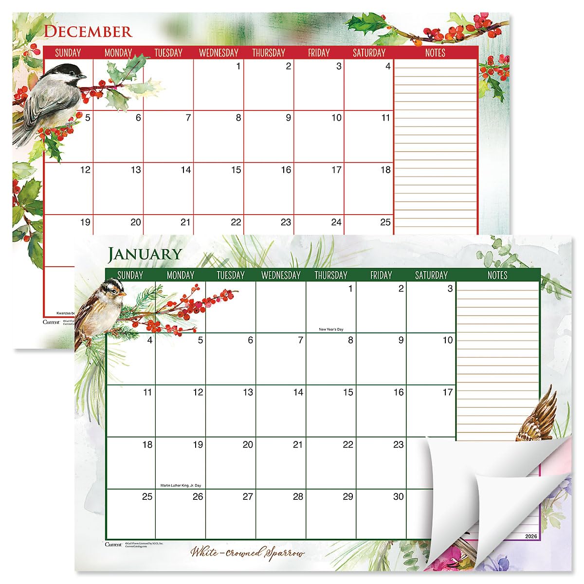 Current 2026-2027 Year of Birds Desk Calendar Pad, 11-Inch x 16-1/4-Inch Size, Large 24-Month Bookstore-Quality Calendars for Kitchen & Office