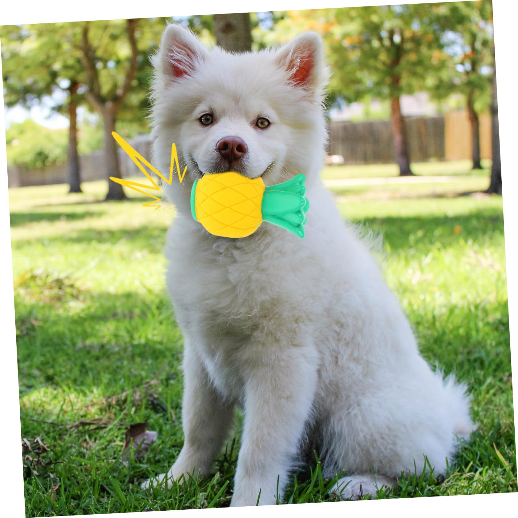 Angoily 8piezas Juguetes De Masticar para Perros Juguetes Interactivos para Limpiar Dientes De Mascotas Accesorios para Perros Pequeños y Medianos Incluye De Piña y Fruta del Dragón