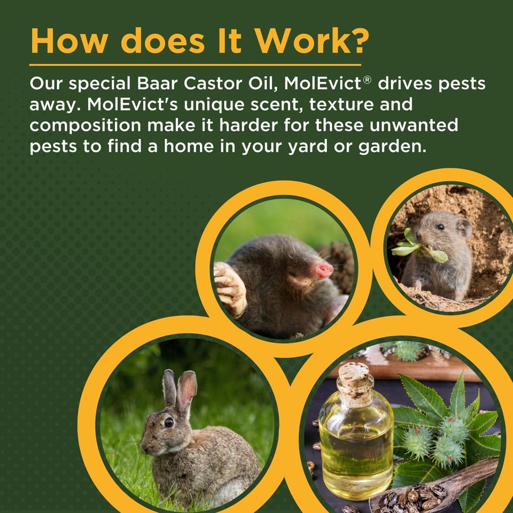 Baar - MolEvict, 100% Organic Castor Oil Formula for Powerful Home and Garden Protection, Up to 100,000 Sq. Ft., Safe to Use Around Plants, Pets and Family, 5 Gallon