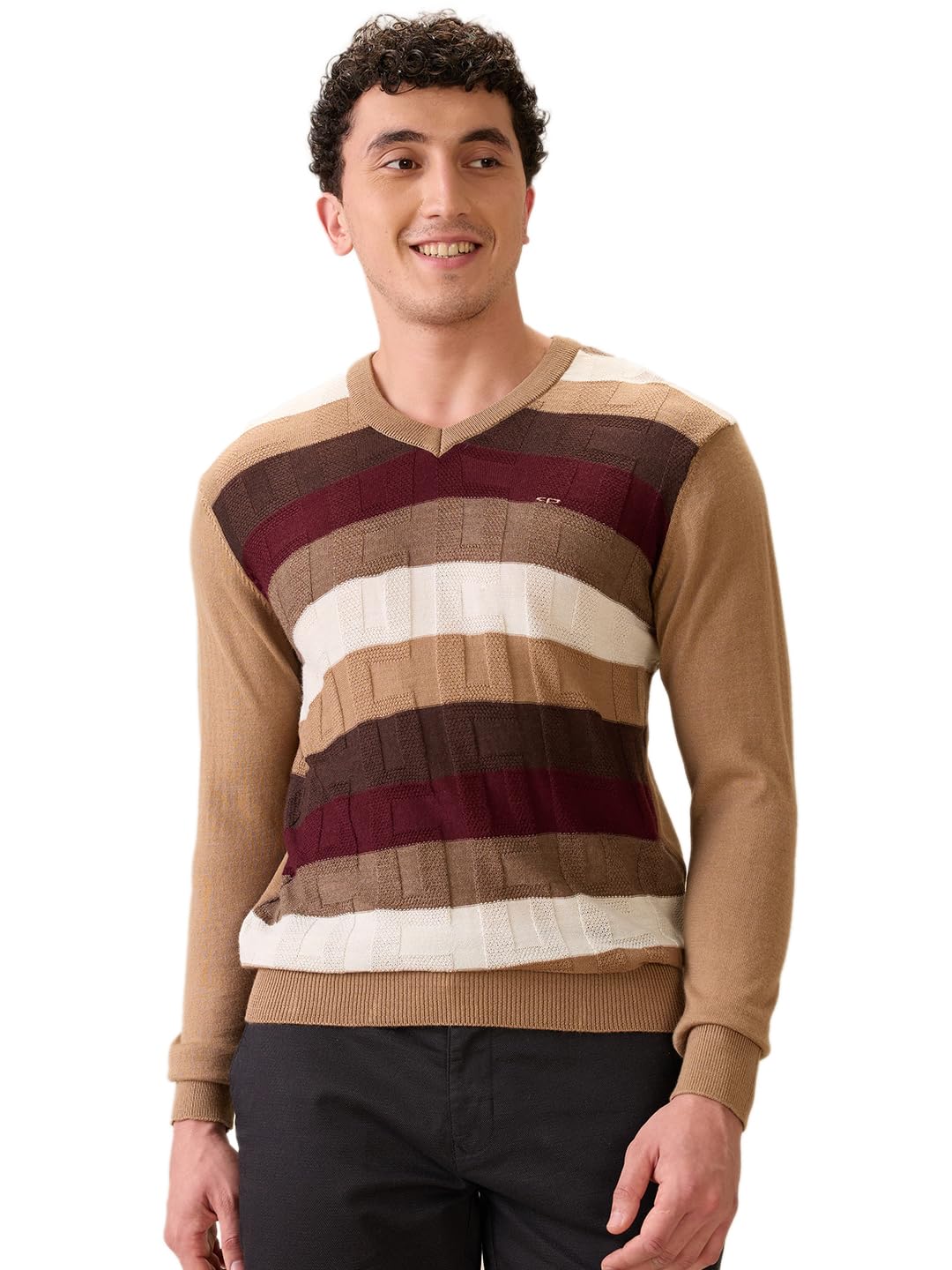 colorplus Men Full Sleeve Regular Fit Jacquard Pattern Acrylic Wool Blend V Neck V Neck Casual Winter wear-picture-23