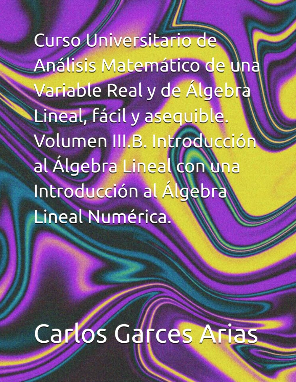 Curso Universitario de Análisis Matemático de una Variable Real y de Álgebra Lineal, fácil y asequible. Volumen III.B. Introducción al Álgebra Lineal con una Introducción al Álgebra Lineal Numérica.