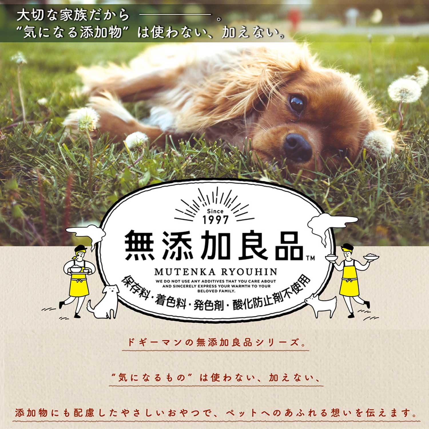 Amazon.co.jp: ドギーマン 無添加良品 国産鶏の赤もも肉巻き 16本×3