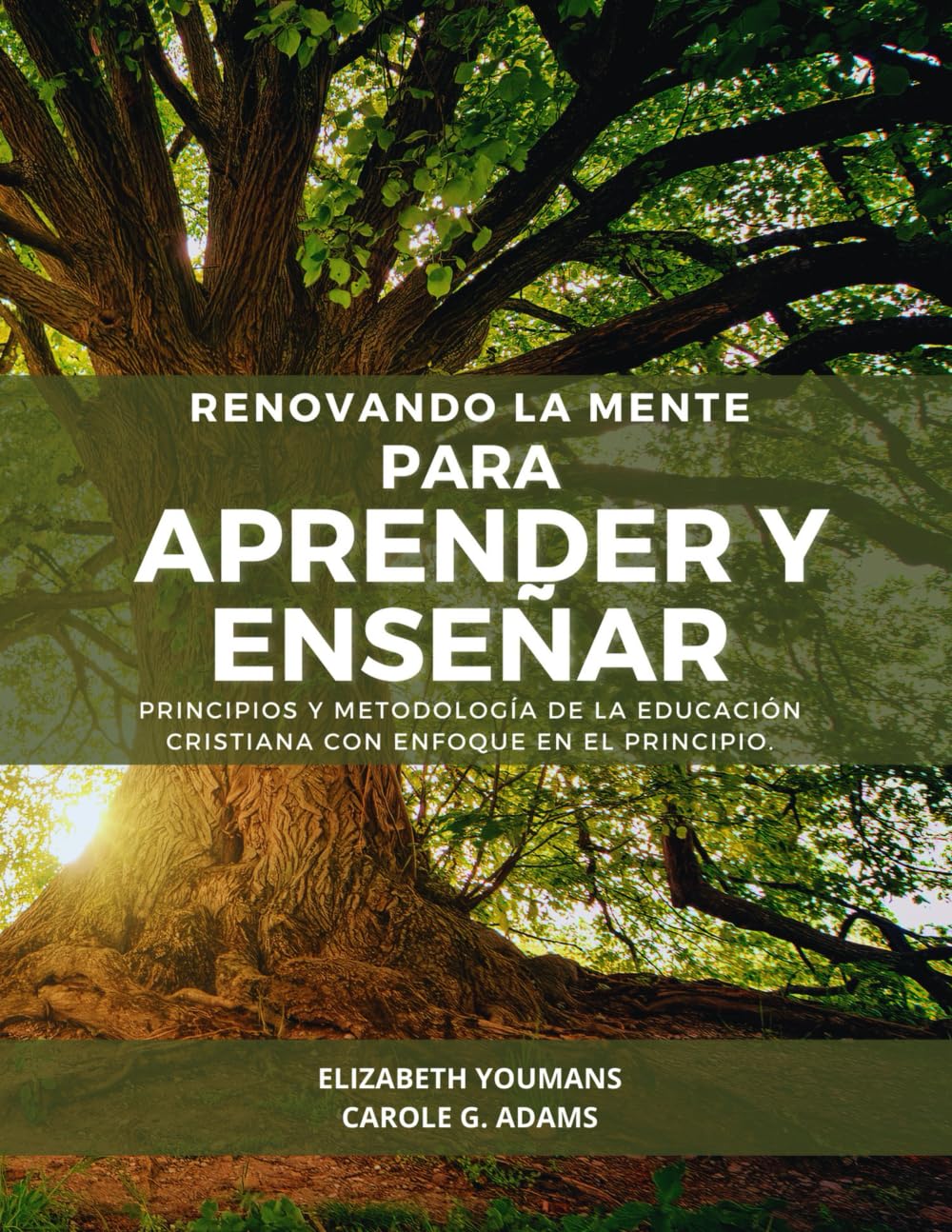 Renovando la mente para aprender y enseñar: Principios y metodología de la educación cristiana con “Enfoque en el principio”