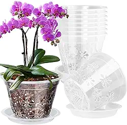 Pote de orquídea, pacote com 8 potes de orquídea de 18 cm com furos e pires, vaso de plástico transparente para repotting, vasos de ventilação respirável para orquídeas Phalaenopsis