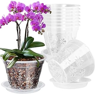 Orchid Clear Orchid Pots with Drainage
