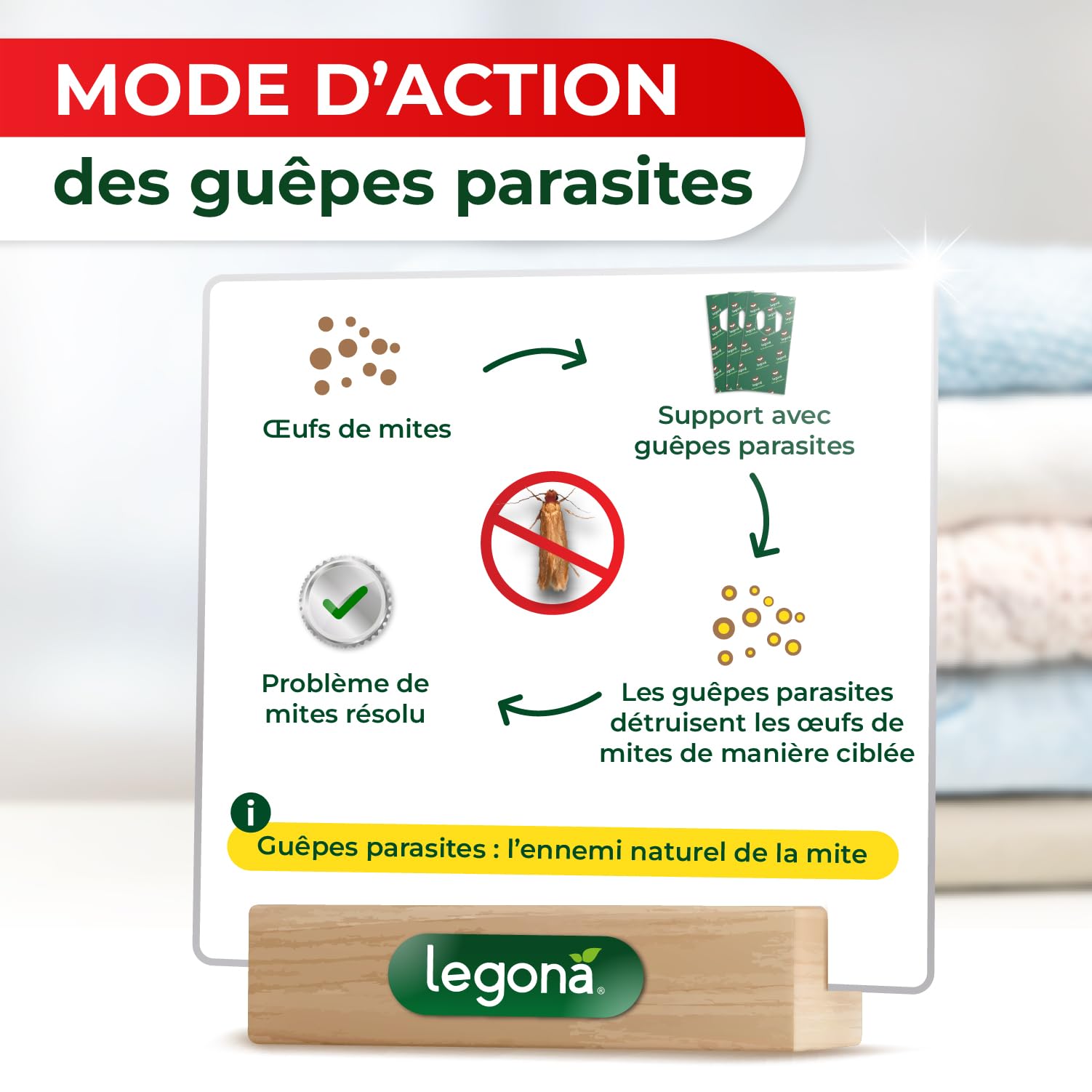 Legona Trichogramma Mites des vêtements - 10 Cartes à 1 Livraison - Anti-Mites Naturel - Produit performant Contre Les Mites