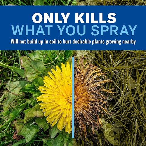 Miniatura 4 de BioAdvanced Eliminador de malezas y hierbas, 64 onzas, súper concentrado