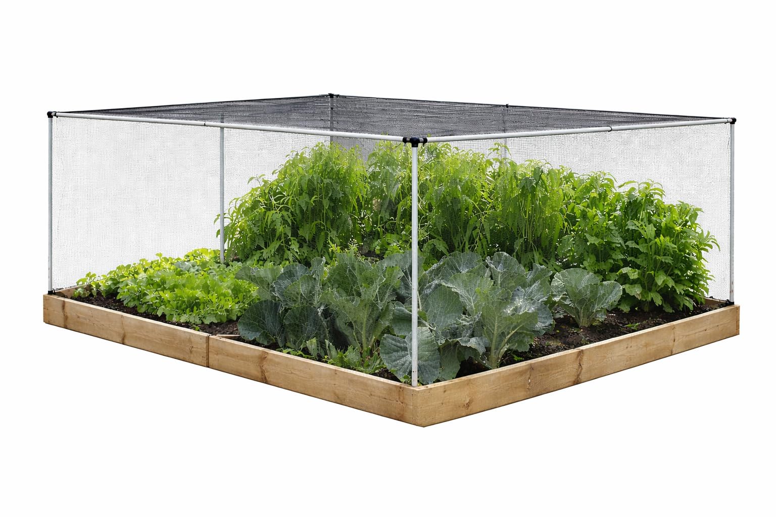 Fruit & Vegetable Cage – Compact Aluminium Fruit Cage for Garden & Allotment, Brassica & Cabbage White Protection, Anti Bird & Butterfly Netting (4ft x 4ft)