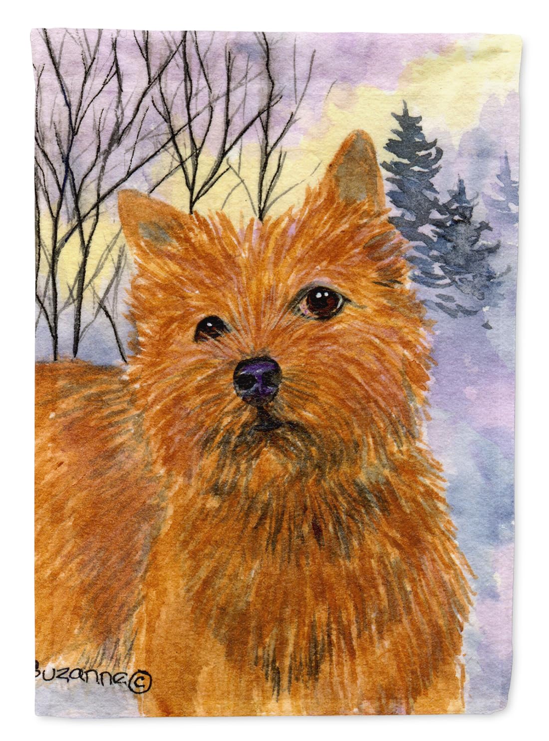 Norwich Terrier Flag Caroline's Treasures drapeau de jardin