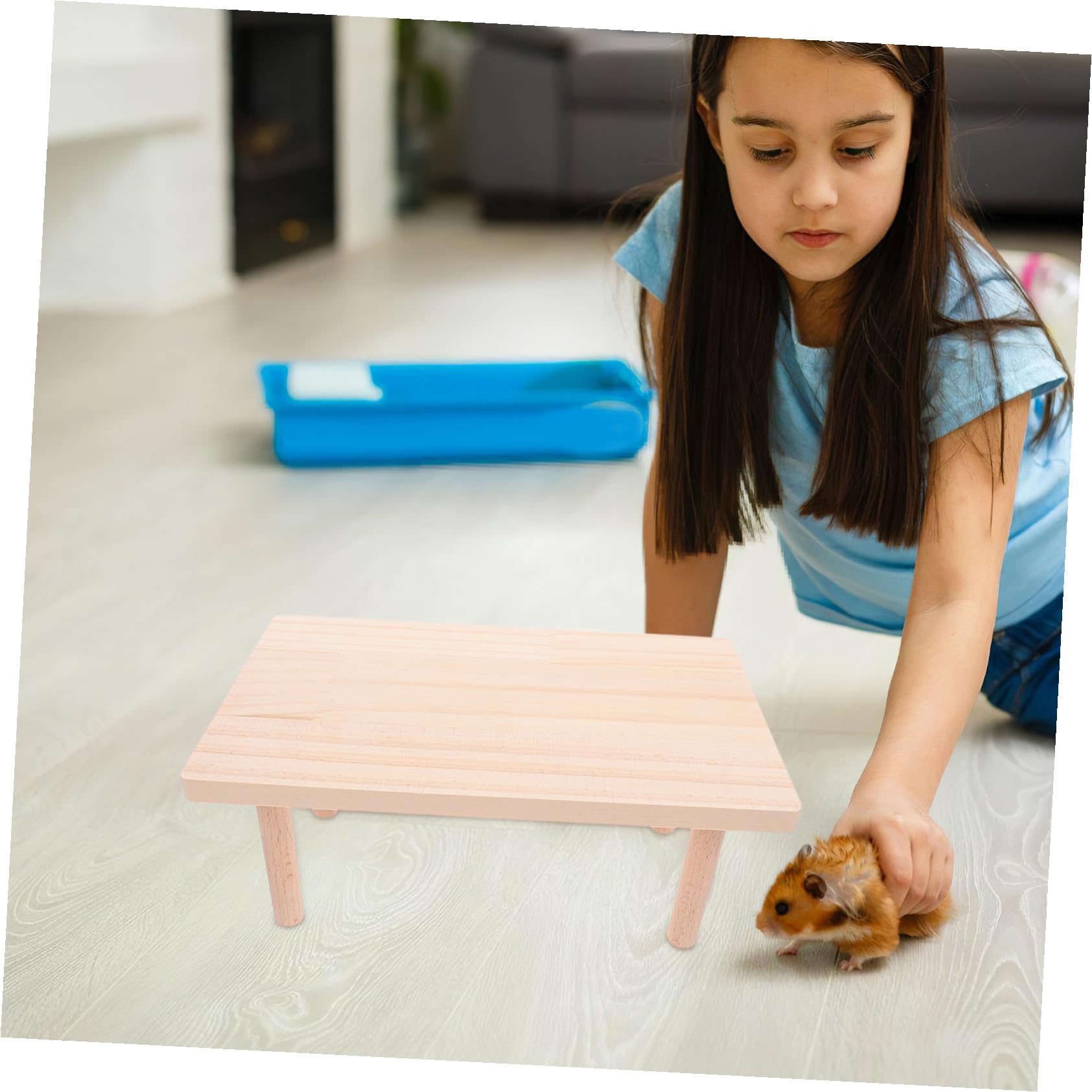 SHINEOFI Hamsterkäfig Plattform 2 Stück, Bissfest für Hamster