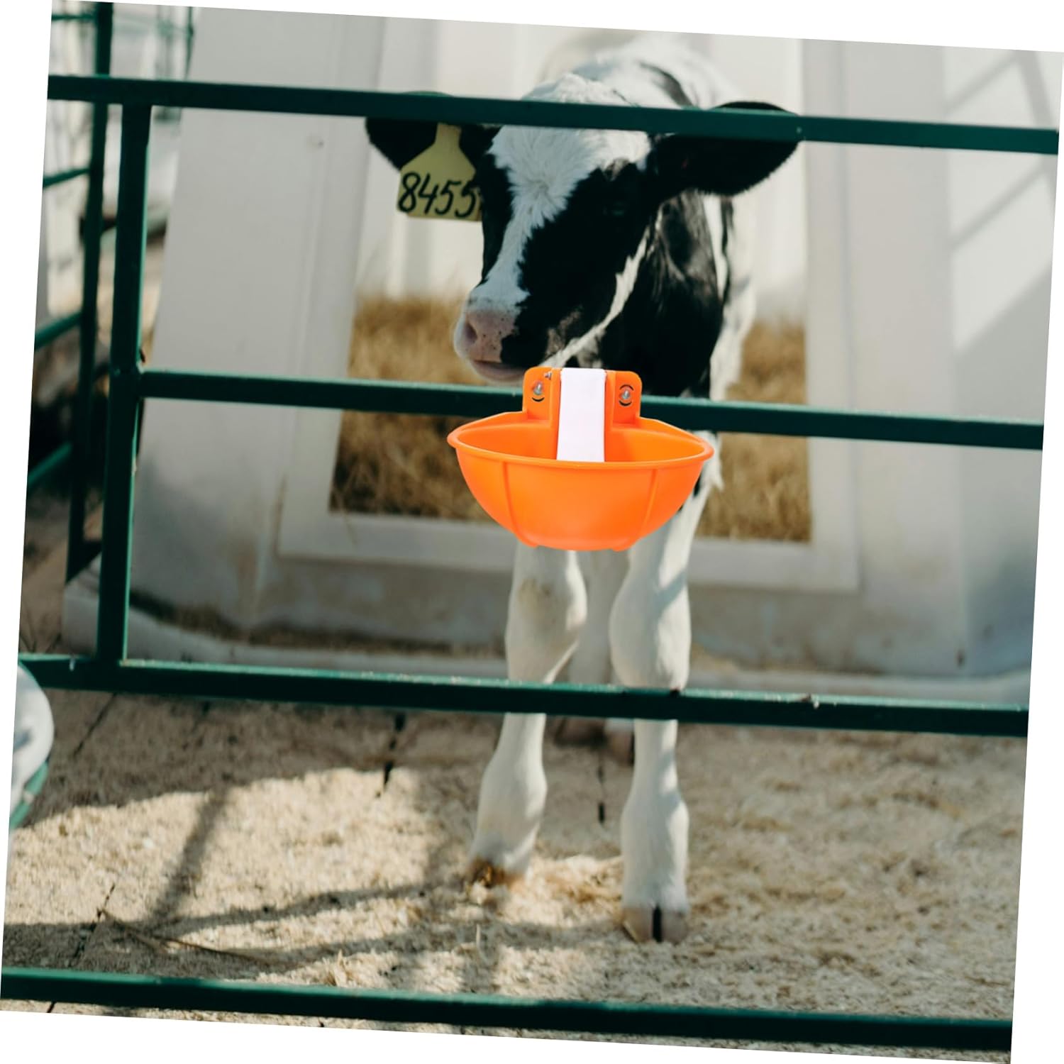 Abaodam 1set Automatic Cow Water Feeder Capacity Cow Drinking Bowl Float Valve for Livestock Easy to Clean and Install for Cattle Horses Goats and More