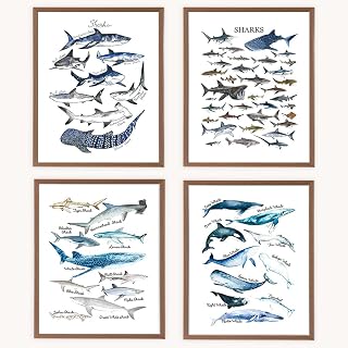 VNWEK Watercolor Rustic Sharks and Whales Wall Art Poster Prints Unframed 8”x10”Set Of 4,Farmhouse Marine Life Decorations for Home Bedroom Living Room Classroom,Gifts For Marine Life Lovers Students
