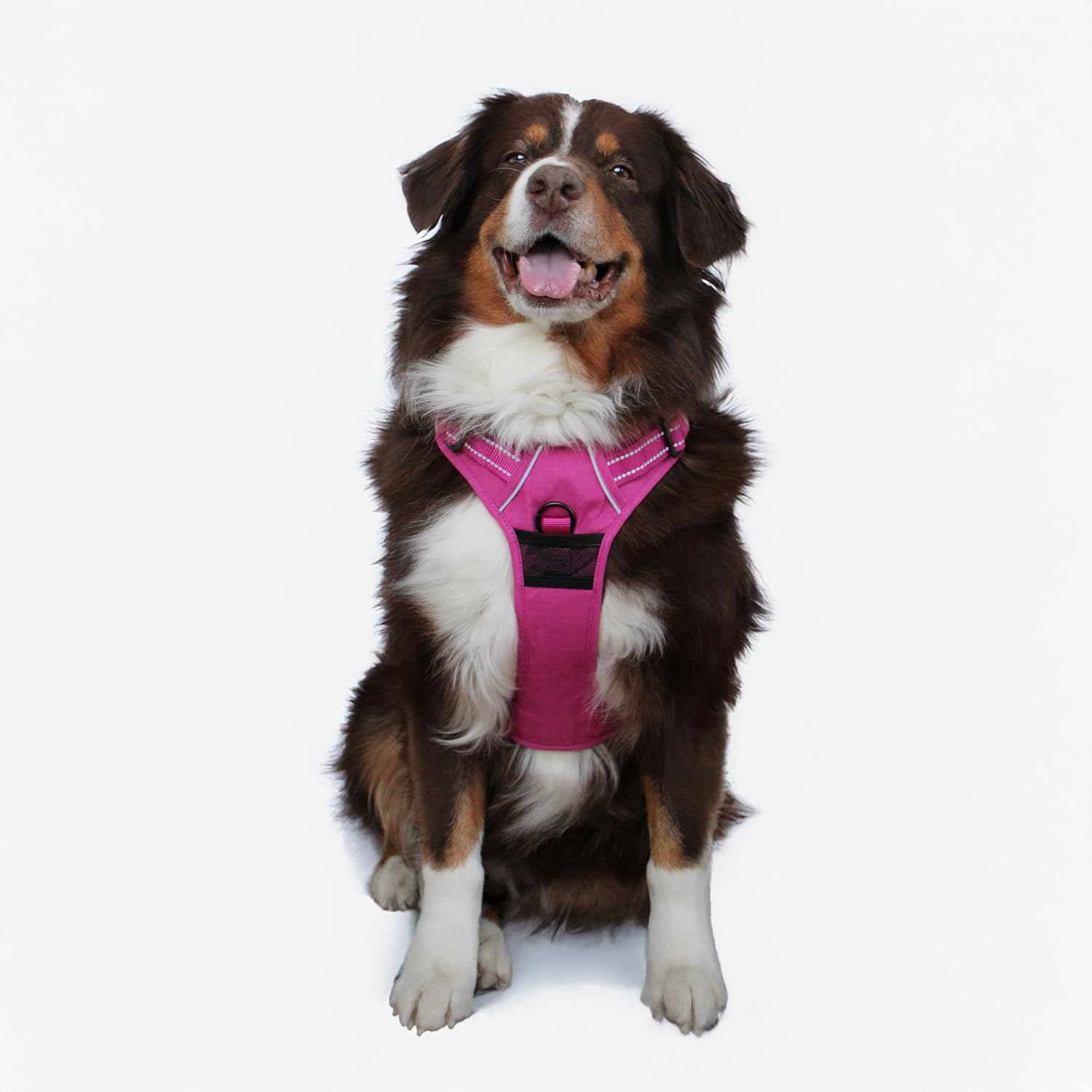 Doggie Design Venture Paw No Pull Dog Harness - Simple Adjustable Puppy Harness - Anti Pull Dog Collar for Walks and Outdoor Adventures - Wild Raspberry, XS