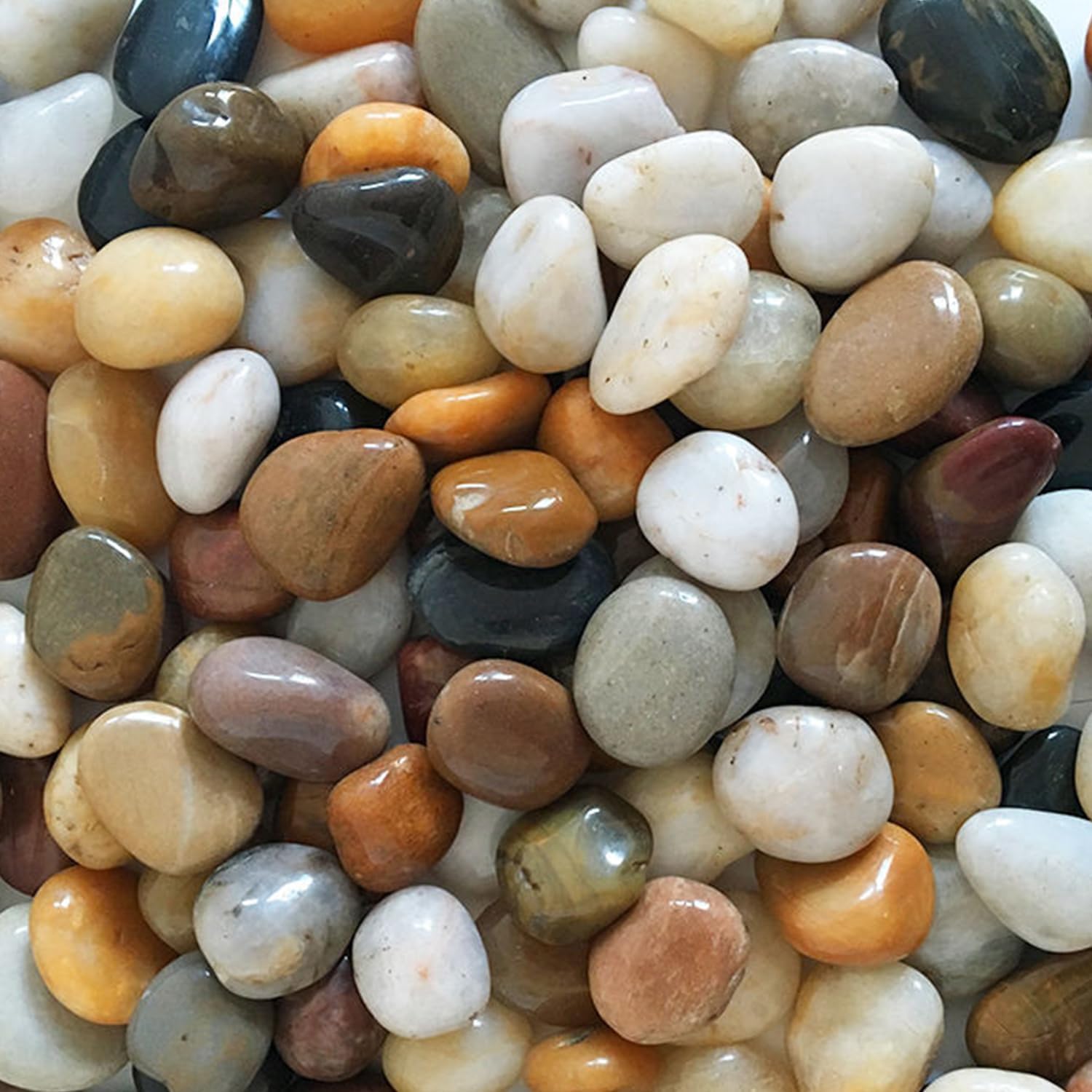 Natural Pebbles Polished Small Mix Color 975 Grams | Smooth and Round Stones for Aquarium, Decorative Stones, Pebbles for Plants Pot, Garden Art