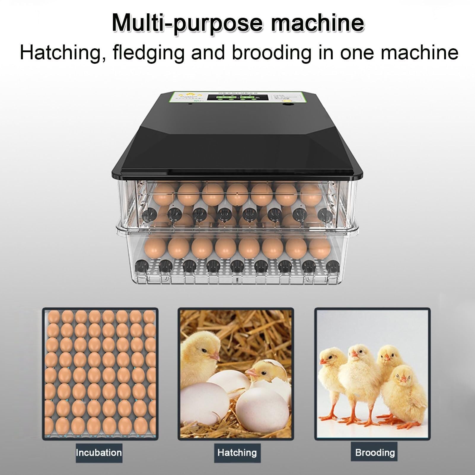 Incubadora de huevos para incubar 64 huevos, inteligente automática con giro de huevos, control de temperatura y humedad, iluminación LED para pollos, patos, codornices