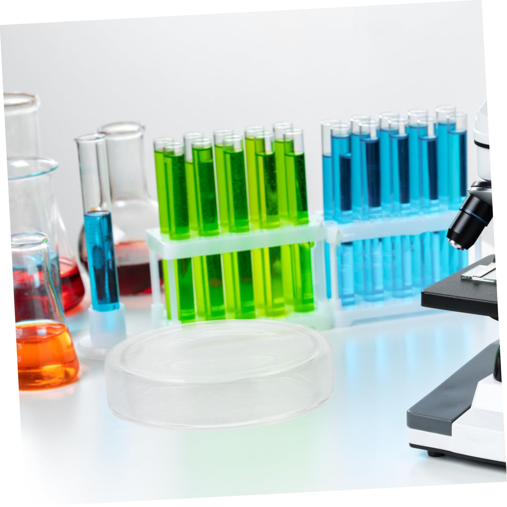 6pezzi Piastre Di Petri Da Laboratorio in Vetro Trasparente Con Coperchio Piastre Per Crescita Di Tessuti Cellulari Di Agar Per Funghi