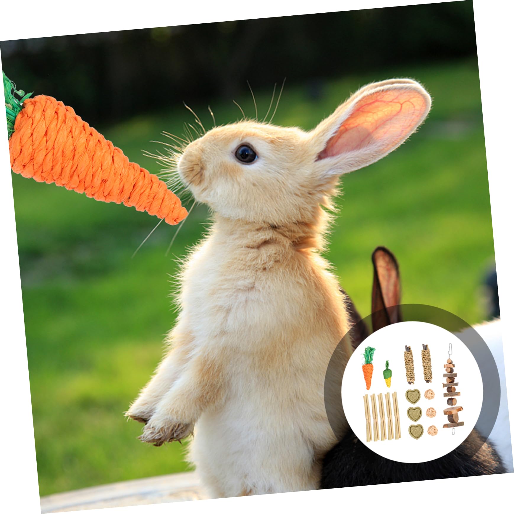 DOITOOL 2sätze Bunny Kauspielzeug Teiliges Spielzeug Für Hamster Meerschweinchen Kaninchen Zahnpflege Zubehör Aus Natürlichen Materialien Unterhaltsame Beschäftigung Für Kleintiere