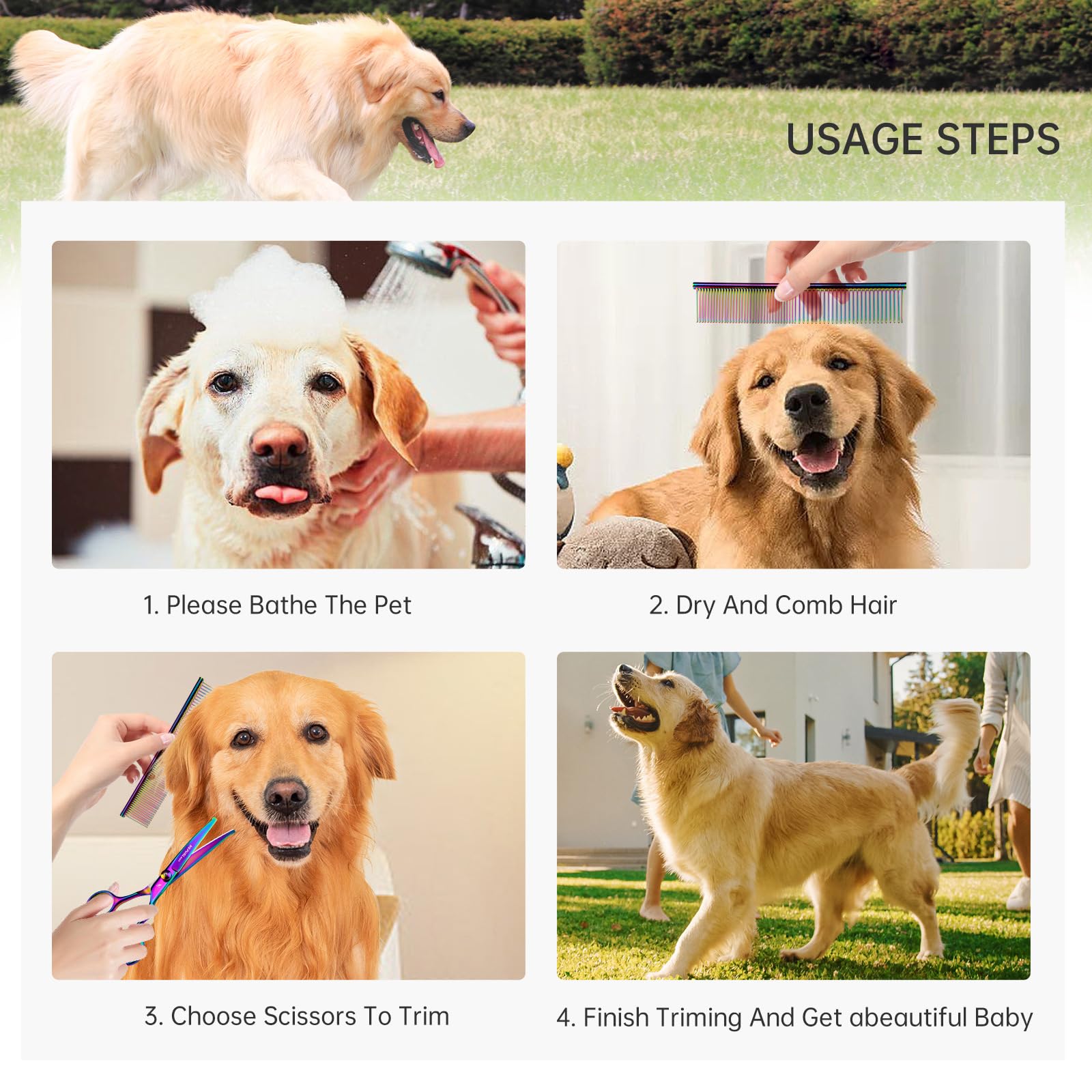 Ciseaux 6 en 1 pour chien avec pointe ogive, ciseaux à fourrure, ciseaux de toilettage pour chien, ciseaux de toilettage pour chien, ciseaux de toilettage pour animaux avec ciseaux