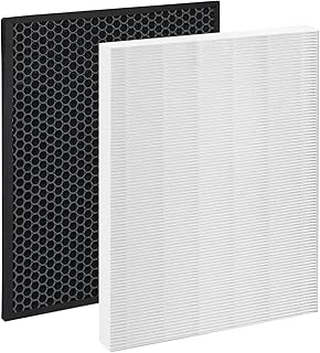 HR900 Replacement Compatible with Winix HR900,H13 True HEPA & Activated Carbon
