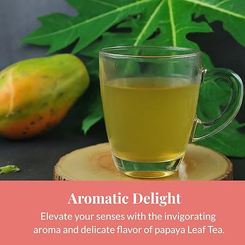 Miniatura 2 de Akshit Té orgánico de hoja de papaya, hojas de papaya secas, 5.2 onzas, té de hojas de hierbas puras, té de hojas sueltas de papaya, hojas de papaya