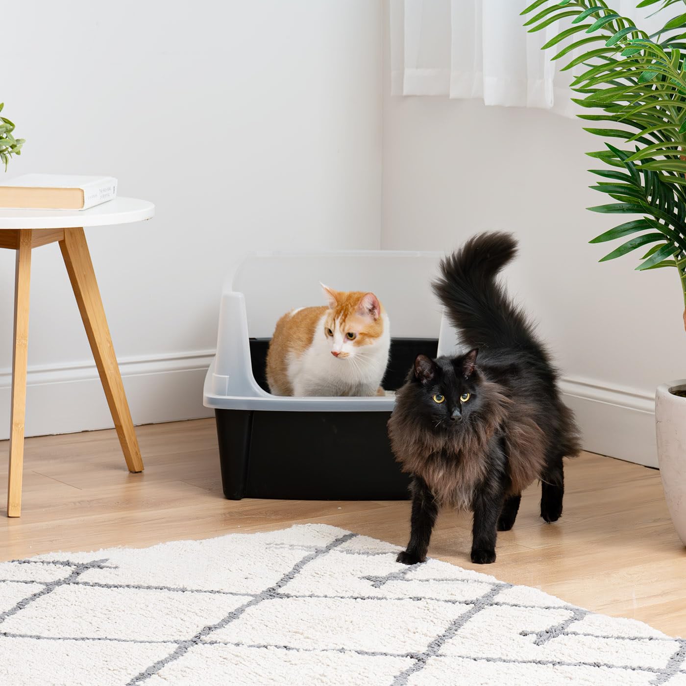 Iris Ohyama Bac à Litière Chat XL Ouvert, Maison de Toilette pour Chat sans Couvercle, Parois Hautes Anti-Projections, Grand Bac Nettoyage Facile, pour Grands Chats, Chatons, Litière XXL