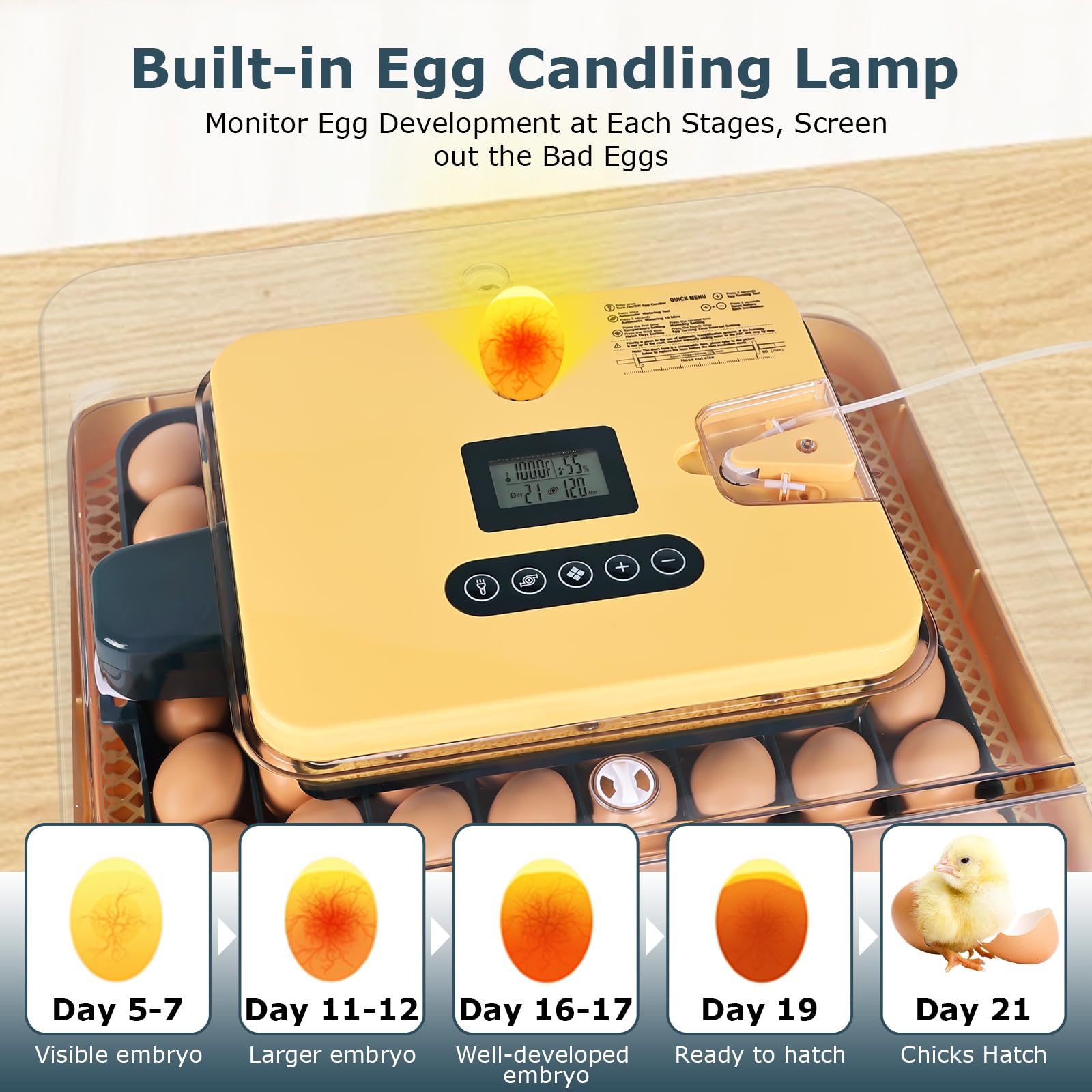 Incubatrice per uova da cova, incubatrice per 56 uova con candela per uova, tornitore automatico per uova, controllo temperatura e umidità, giorno della schiusa, visualizzazione a 360° per pollo
