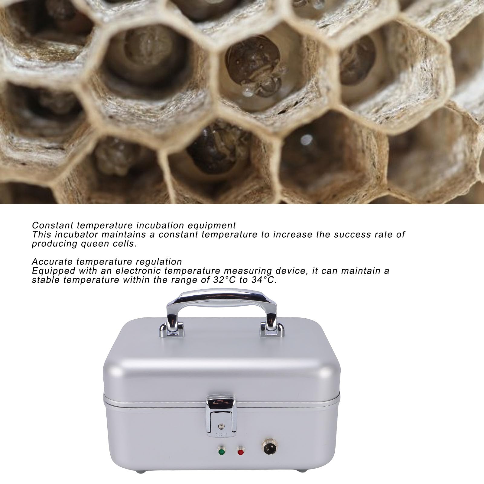 Haofy Incubadora de Abejas Reina, Nacedora Automática de Acero Inoxidable con Termostato Digital para Cría de Abejas, Cría de Reinas en Granja