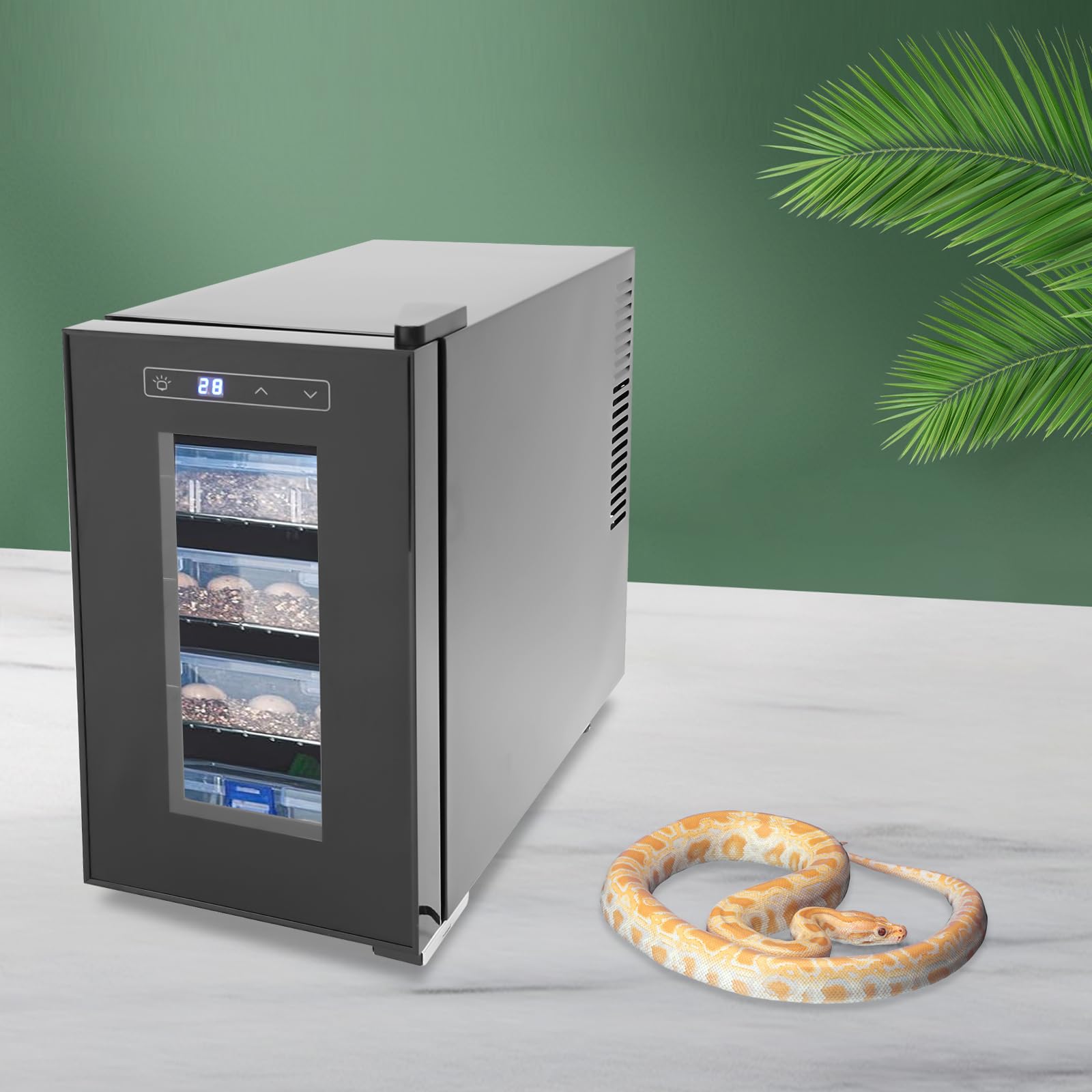 Incubateur pour œufs de reptiles - Contrôle de précision de la température - Capacité : 6,08 gallons - Convient pour les porteurs de reptiles