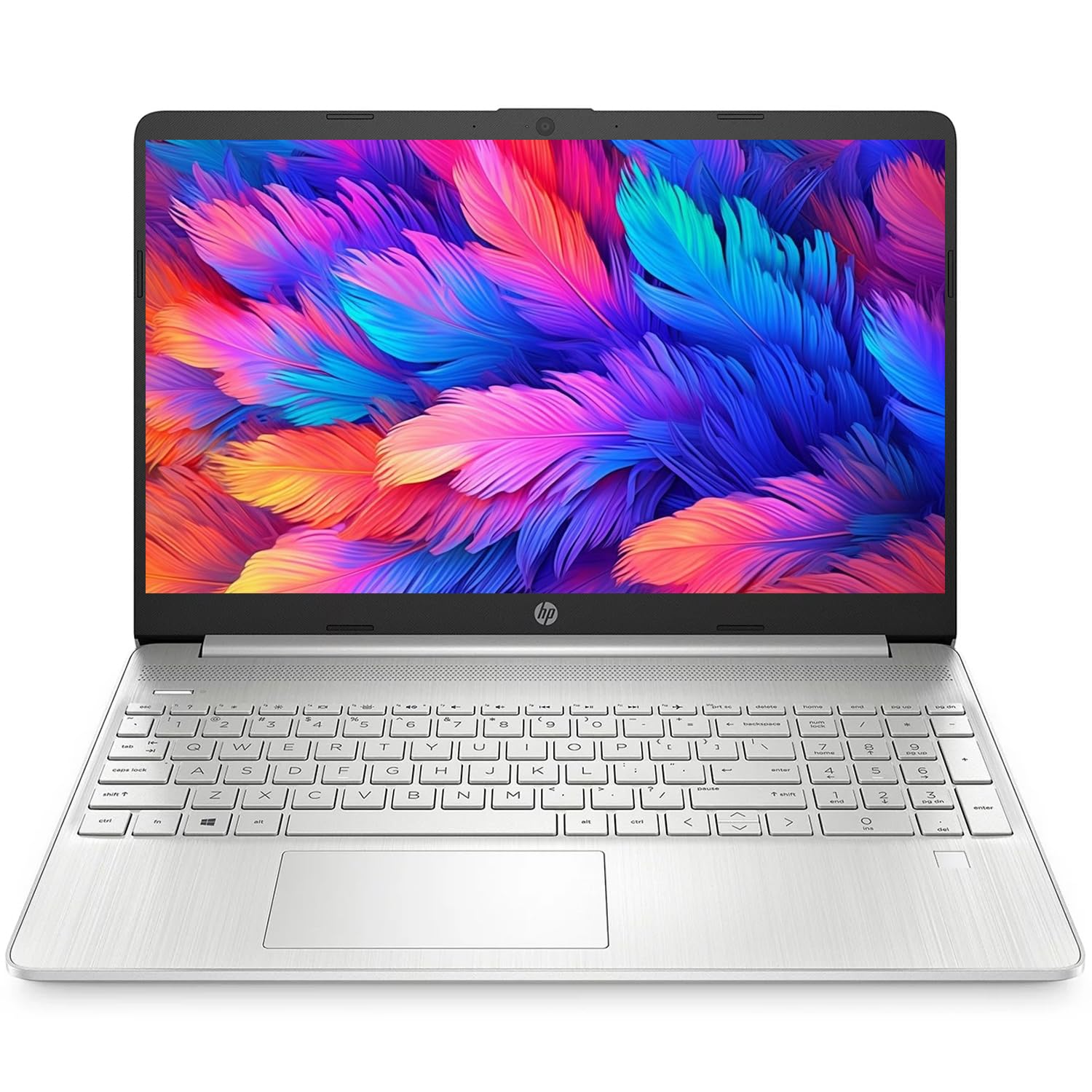 Amazon.com: HP 15.6