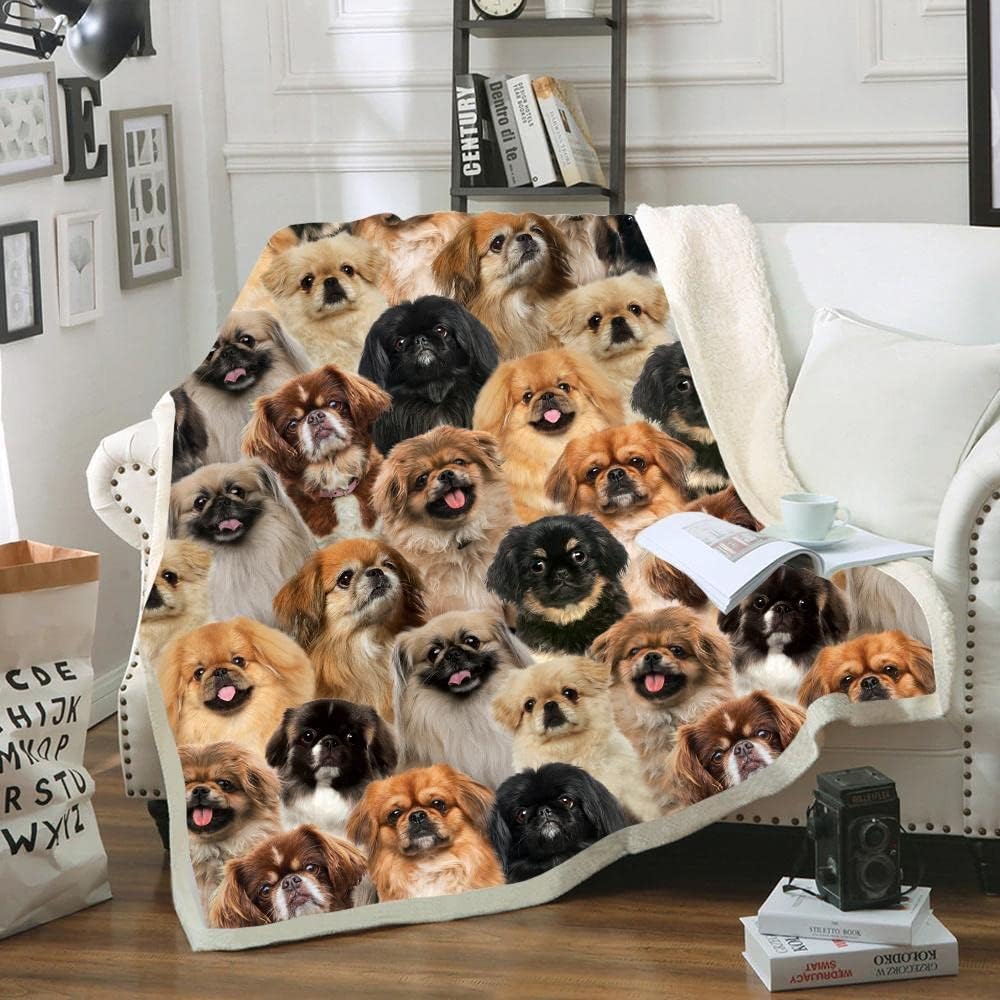 Pekingese Dog Blanket, You Will Have A Bunch of Pekingeses Fleece Throw Blankets, Full Size Blanket Soft Lightweight Flannel Warm Bed Blanket for Sofa Office Living Room